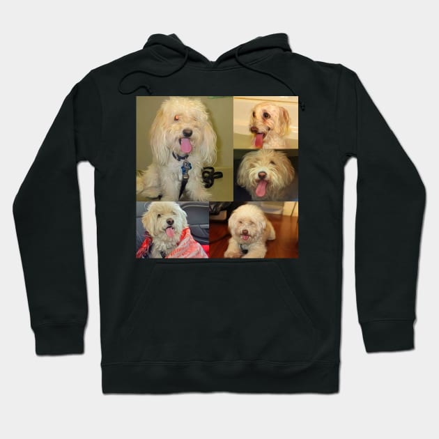 Shaggy Collage Hoodie by BushidoProductions